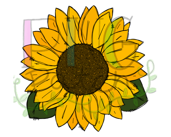 Sunflower, Flower PNG File
